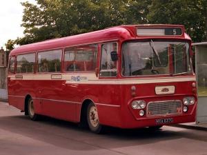 Albion Viking VK43L Alexander Y type (C43F) '1965